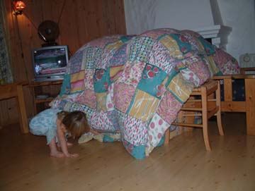 Fort